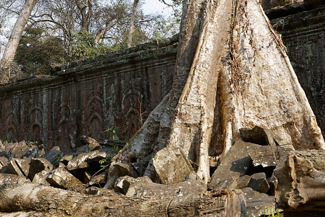 Ta Phrom et environs-053